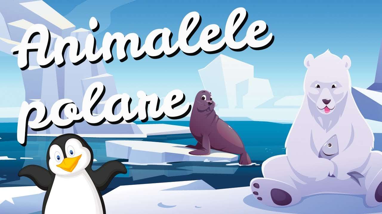 Animalele polare online puzzle