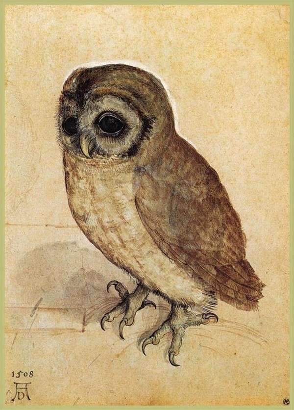 Albrecht-Durer-The-Little-Owl. Jpg online παζλ
