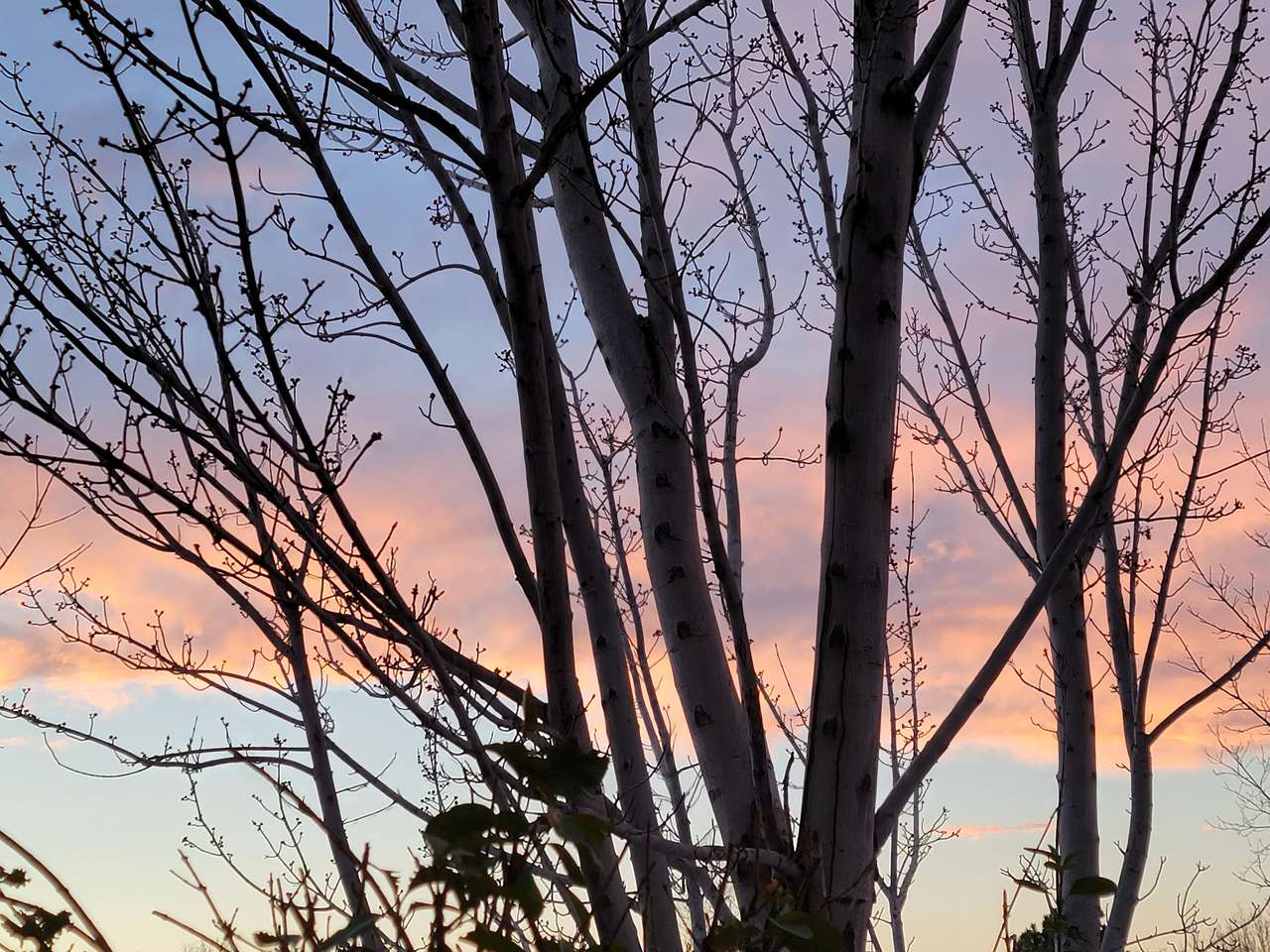 puesta de sol de colorado puzzle online a partir de foto