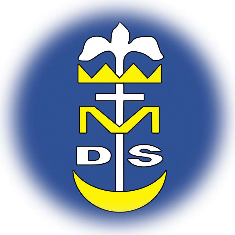 Лого на DSM онлайн пъзел от снимка