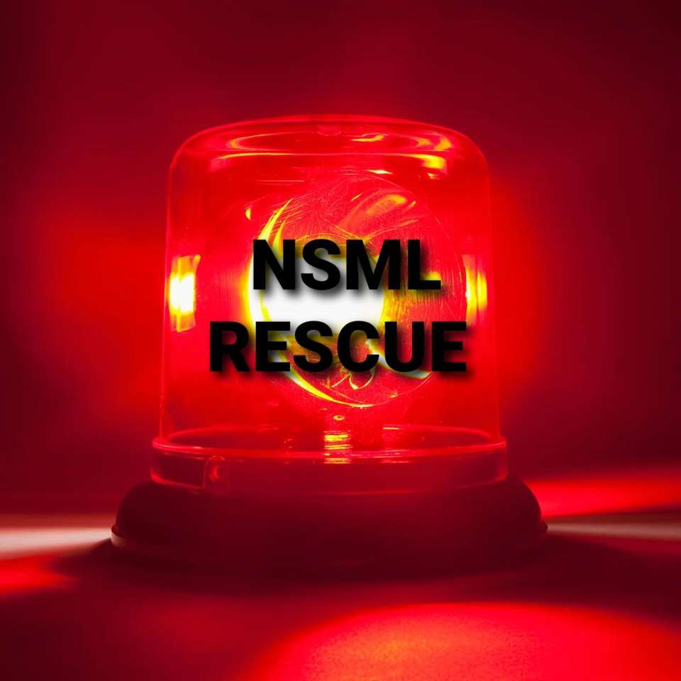 NSML Rescue онлайн пазл