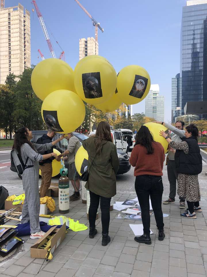 Klimatballongdemonstration 2 pussel online från foto