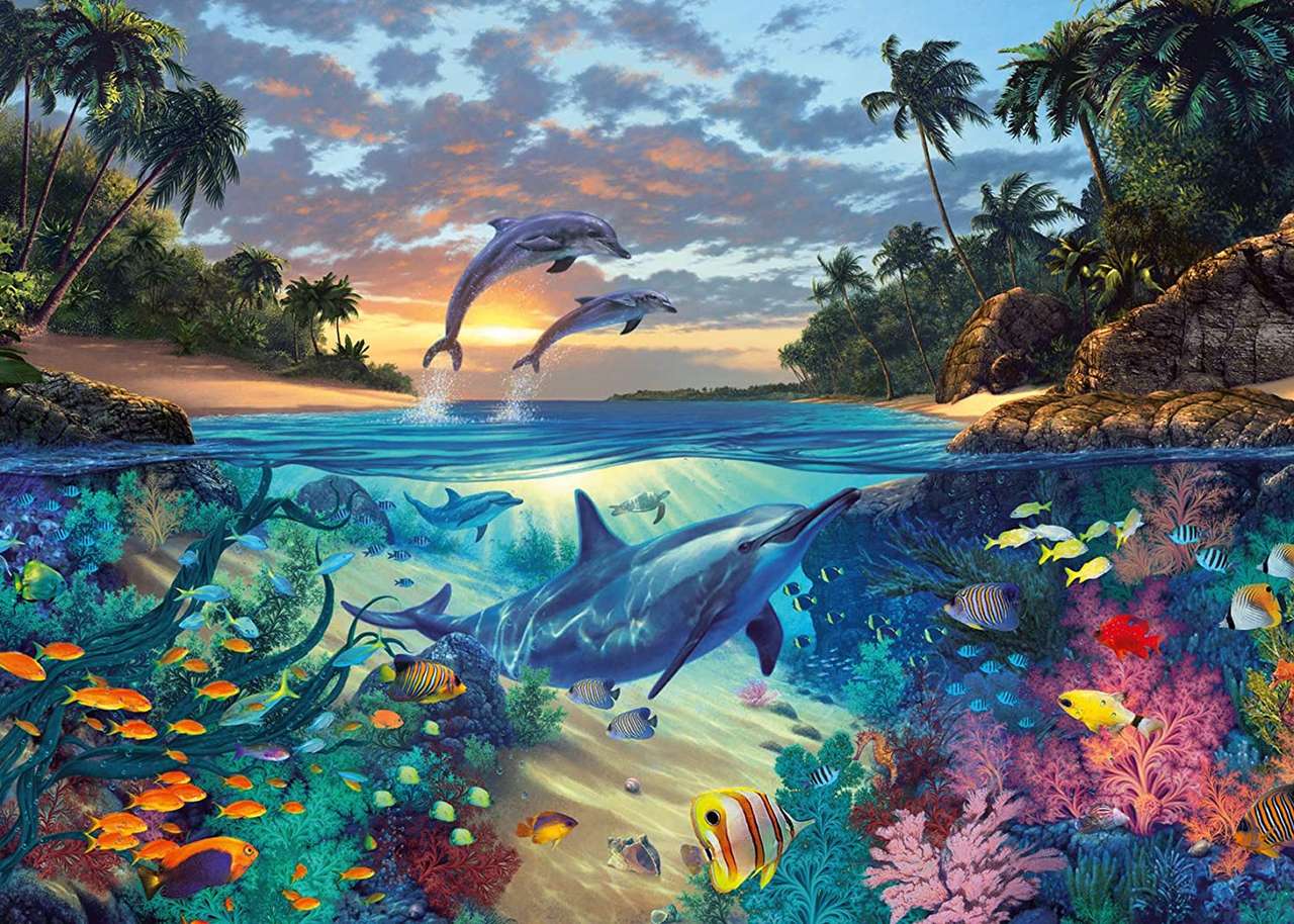 dolphins puzzle from photo