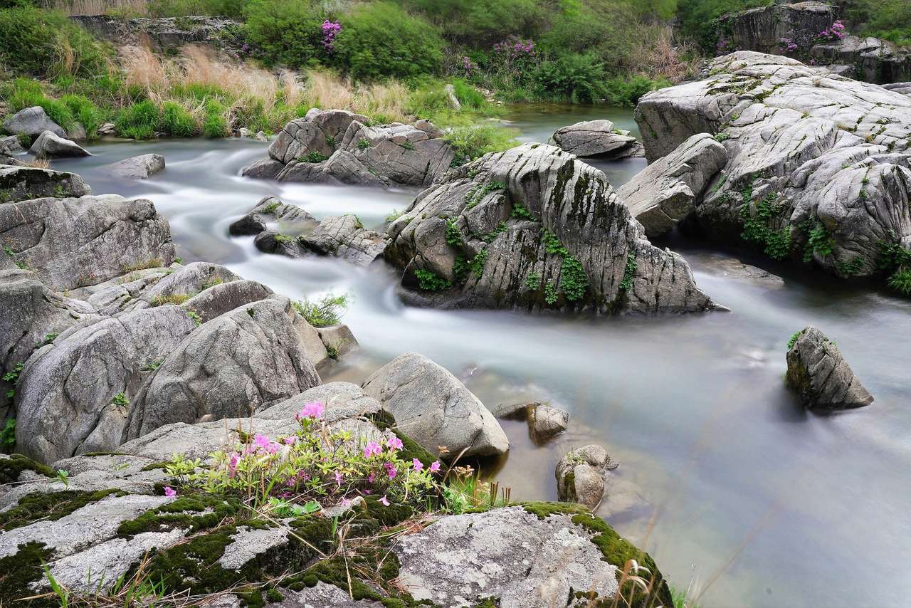 naturaleza - arroyo de montaña puzzle online a partir de foto