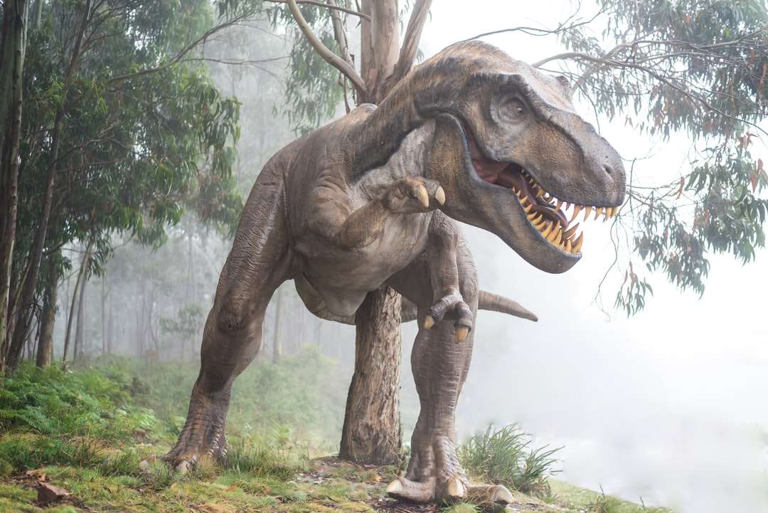 Dinosaurio rompecabezas en línea