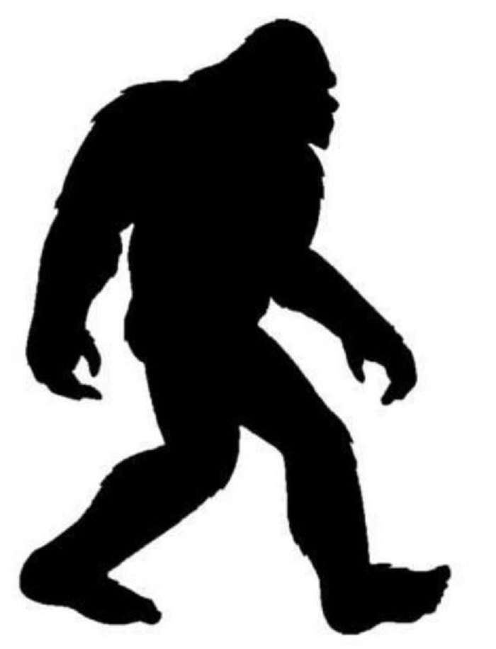 Bigfoot standard puzzle online from photo