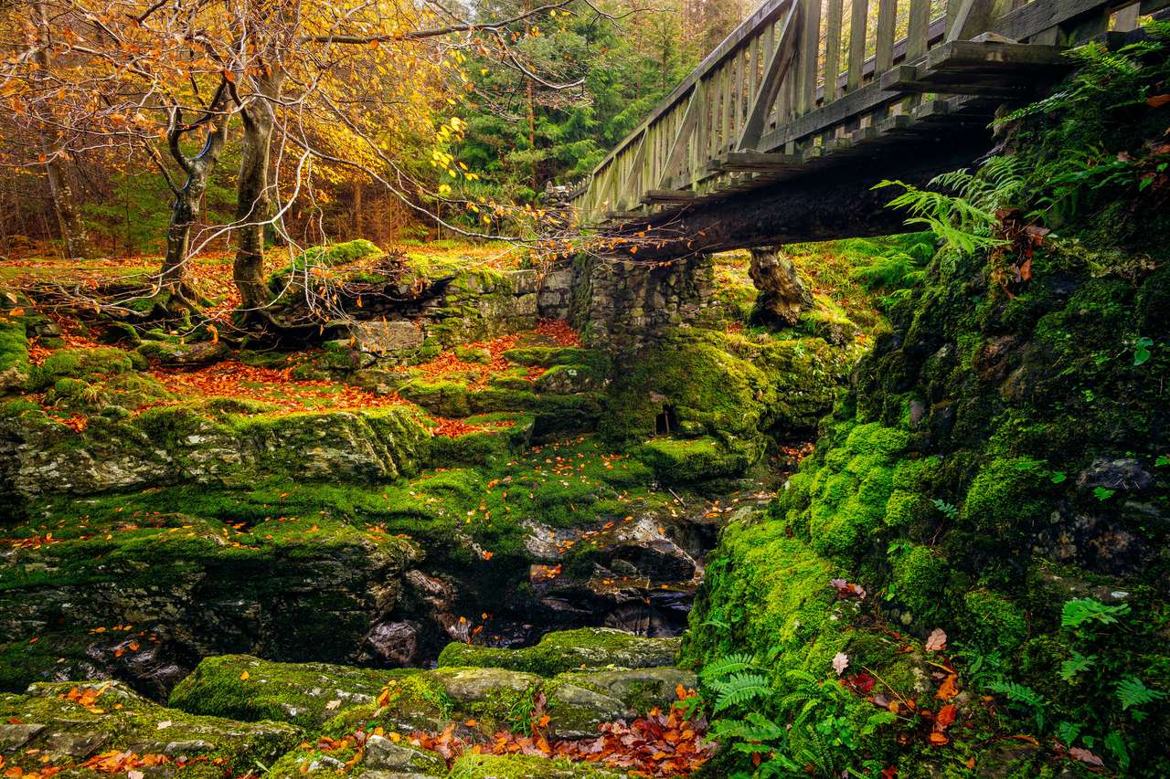 Каскади под дървен мост на планински поток онлайн пъзел от снимка