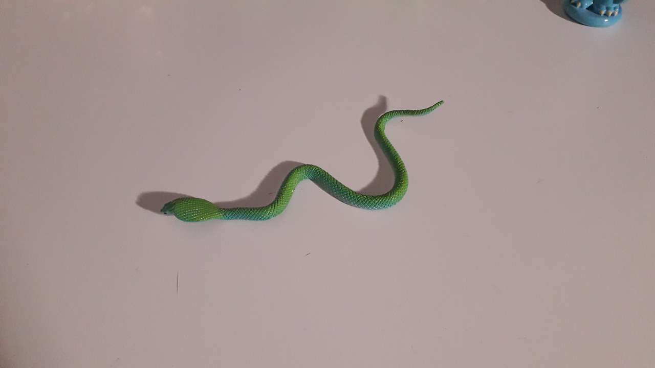 Зеленая змея на белом столе онлайн-пазл