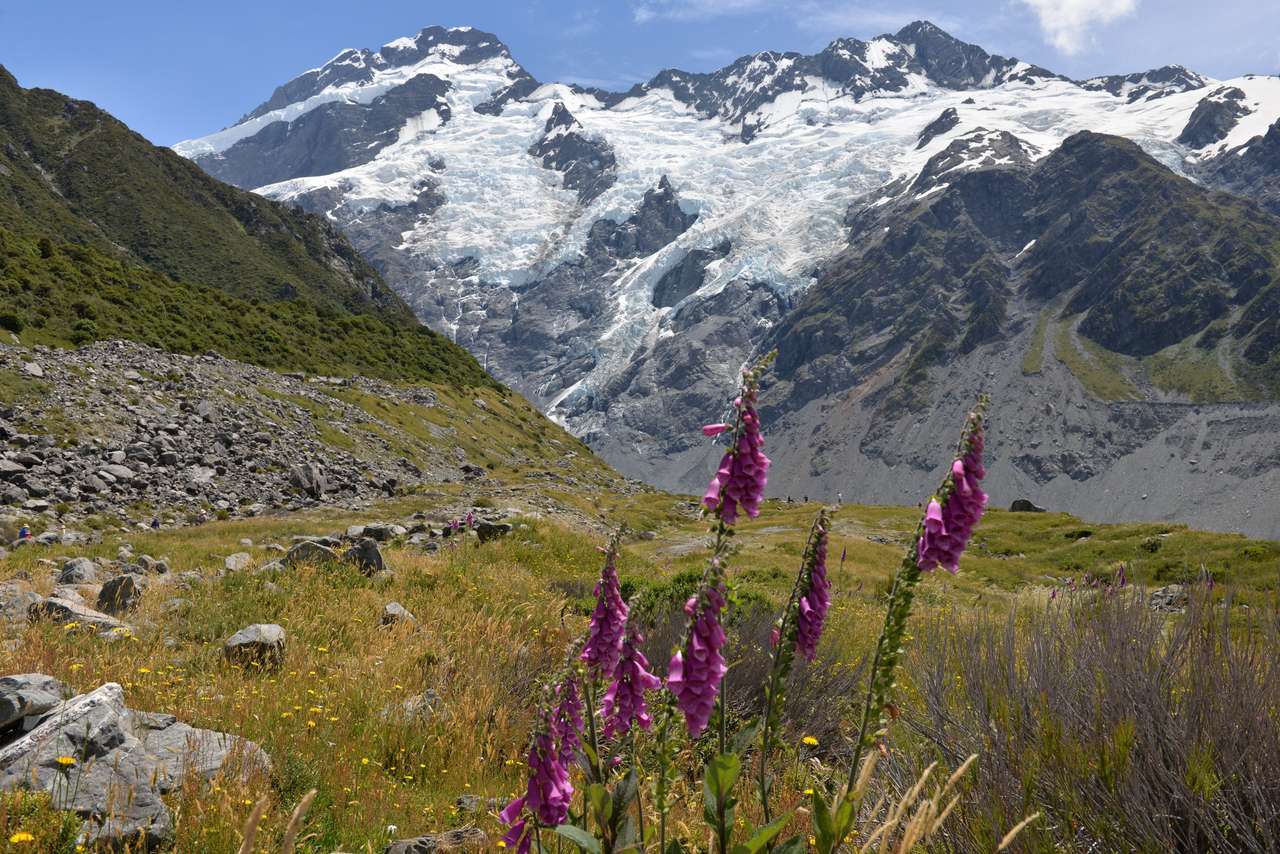 Kea Point in Mt. Cook National Park online puzzle
