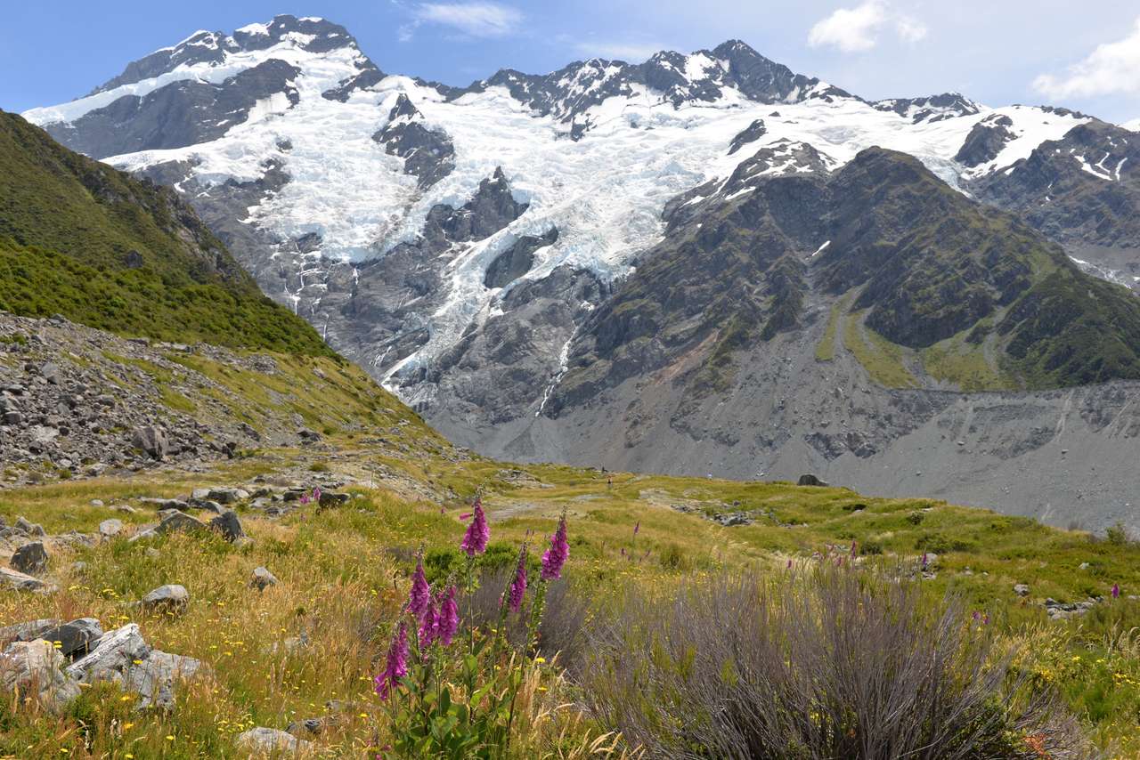 View from Kea Point in Mt. Cook National Park online puzzle