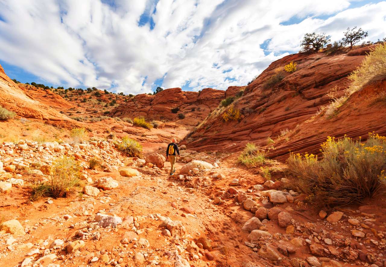 Wandern Sie in den Bergen von Utah Online-Puzzle vom Foto