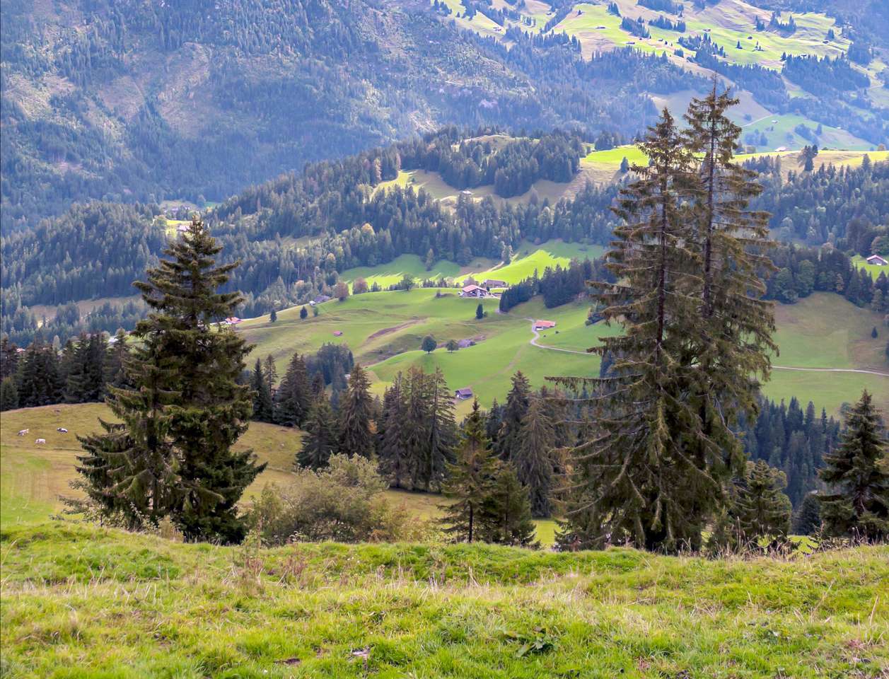 Άλπεις στην Ελβετία παζλ online από φωτογραφία