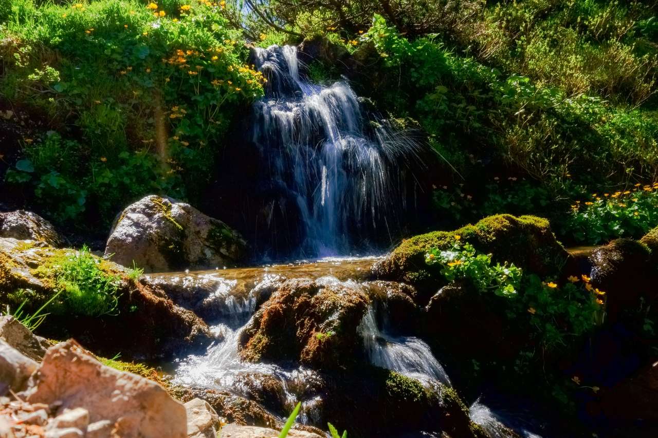 A waterfall in the sun online puzzle