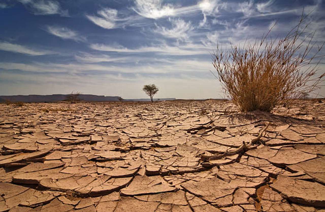 nivel de sequía puzzle online a partir de foto