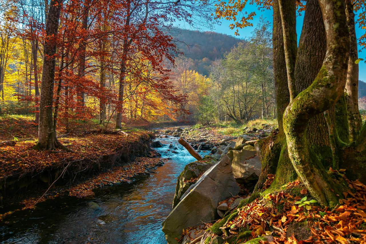 rivière de montagne dans la forêt d'automne puzzle en ligne