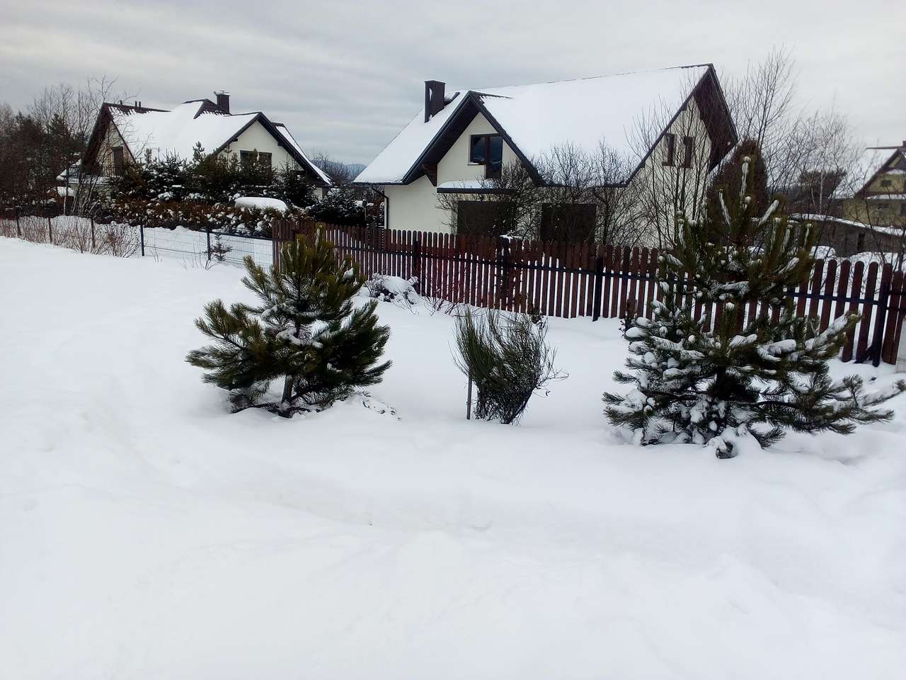 зимен пейзаж онлайн пъзел от снимка