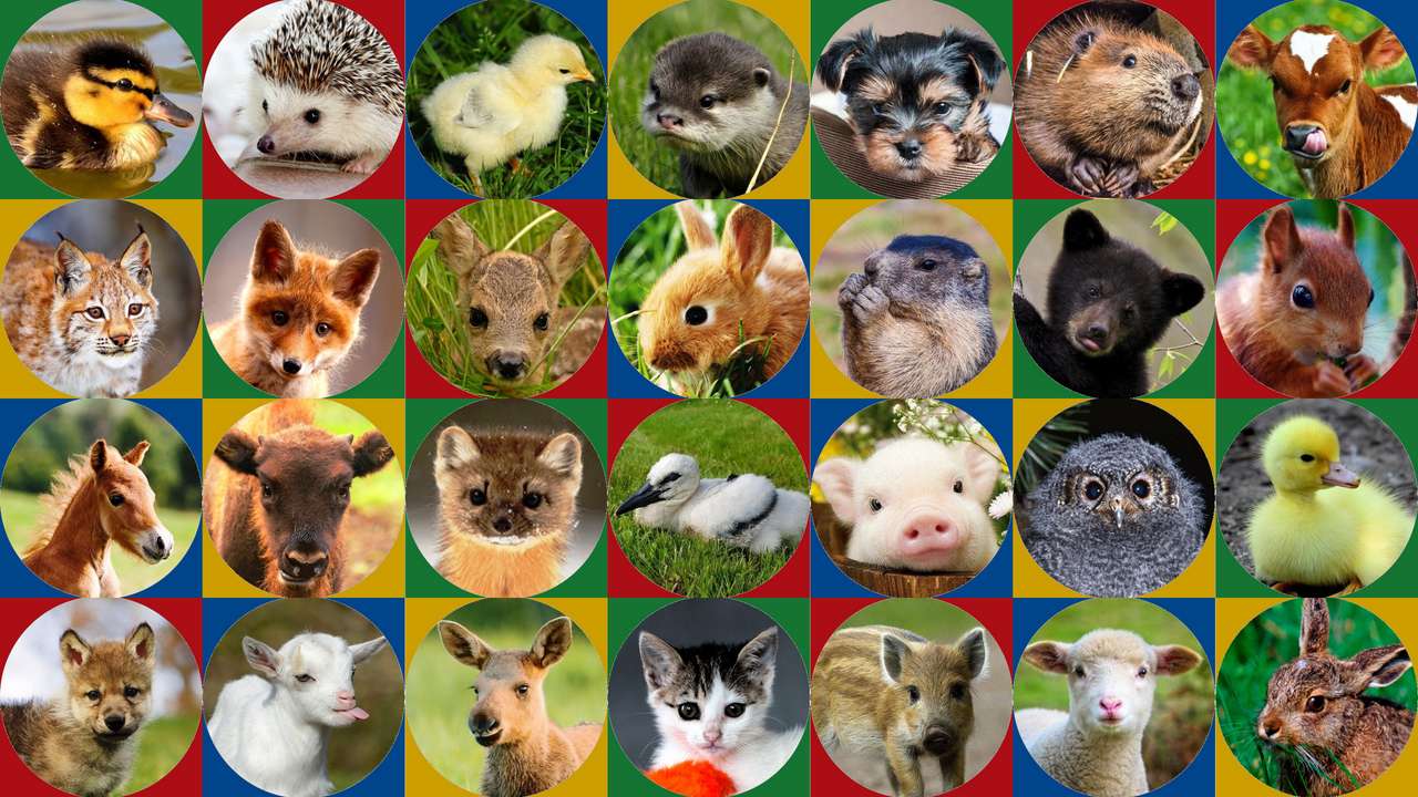 Dieren - kinderen puzzel online van foto
