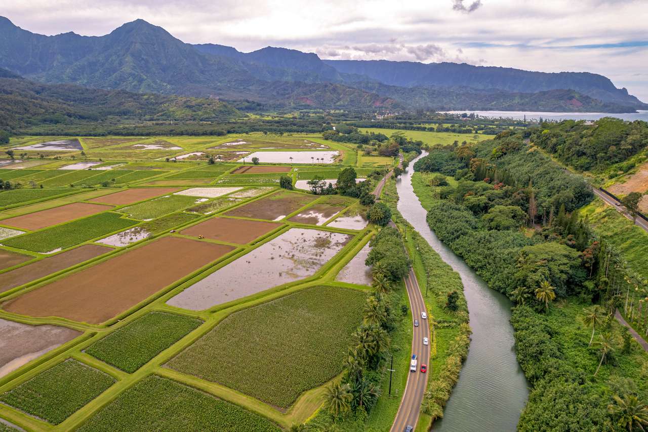 Земеделска земя на река Уаймеа онлайн пъзел от снимка
