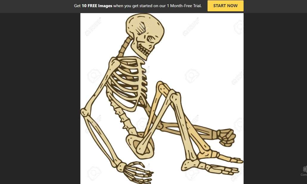 corps osseux puzzle en ligne à partir d'une photo