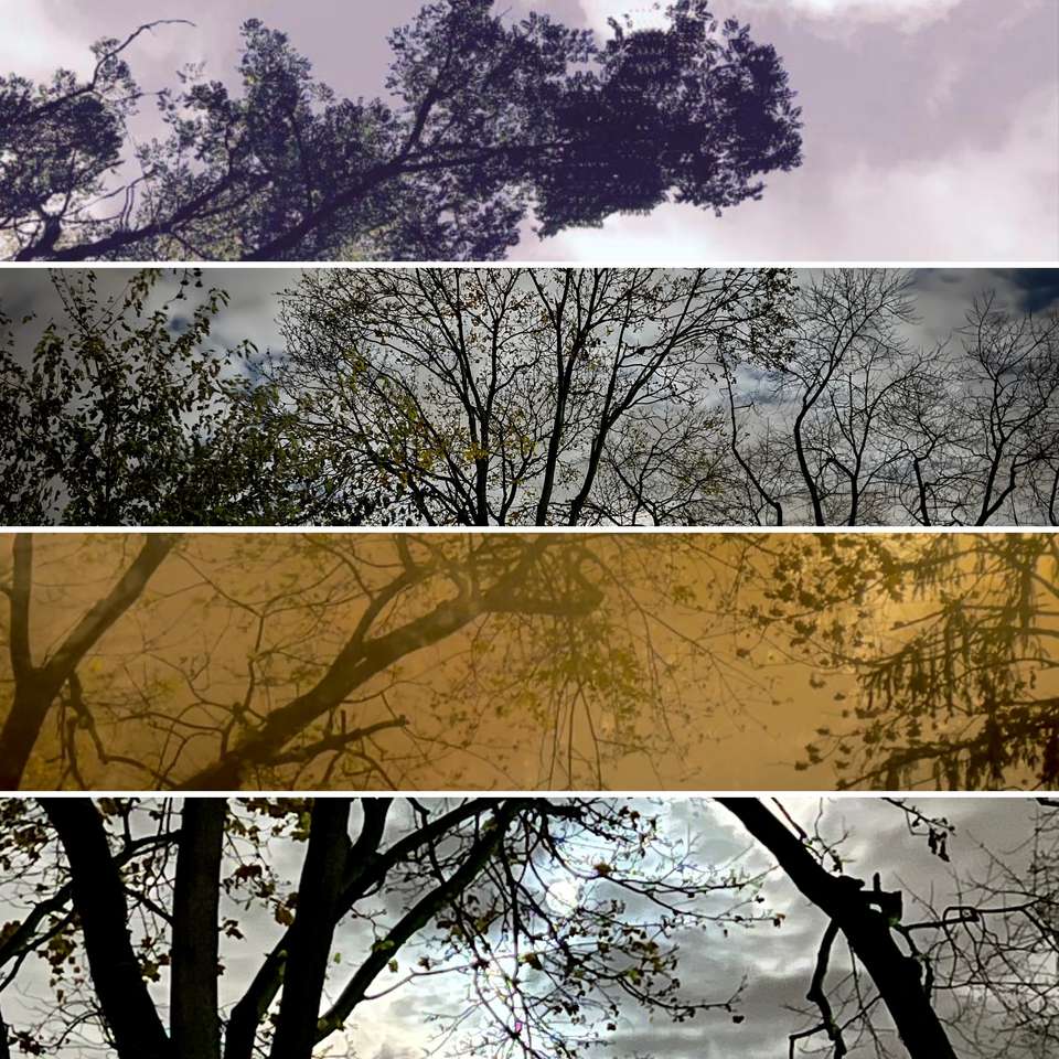 Stromy na vrcholu puzzle online z fotografie