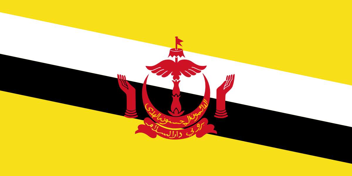 Σημαία του Μπρουνέι παζλ online από φωτογραφία