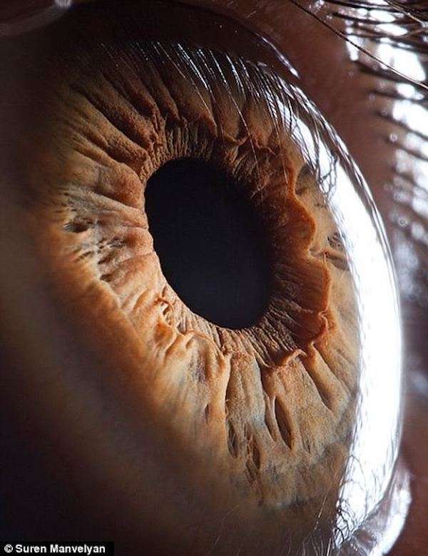Close up of human eye puzzle online from photo