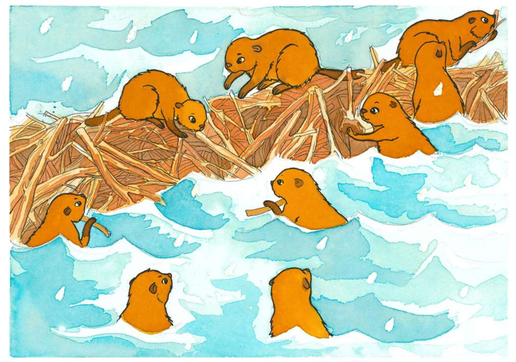 Beavers Scouts online puzzle