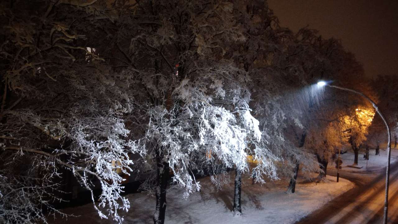 árboles cubiertos de nieve rompecabezas en línea