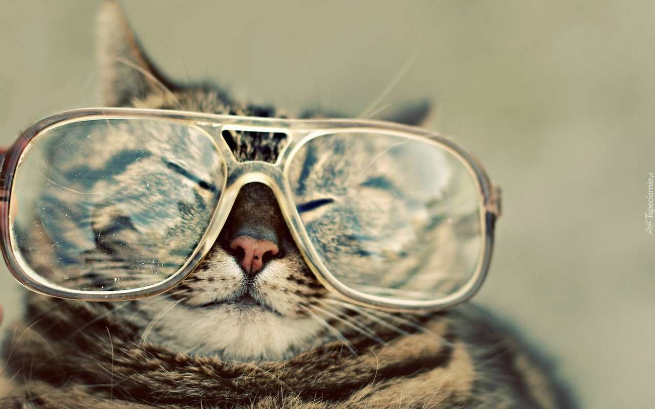 бъркайки с очила онлайн пъзел от снимка