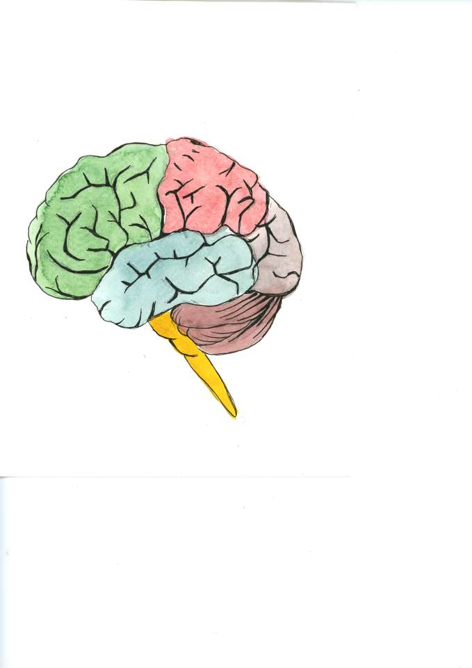 O cérebro de Lata puzzle online