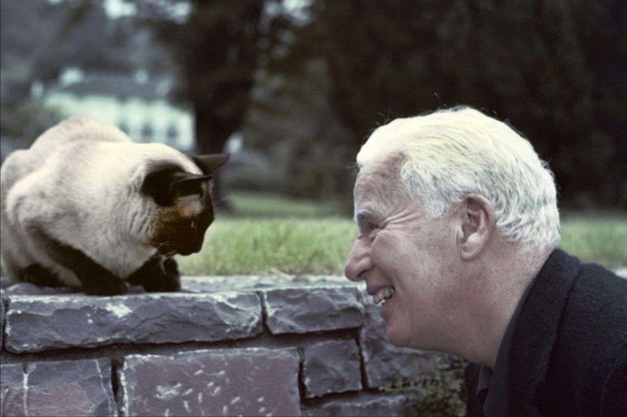 Charlie och hans katt pussel online från foto