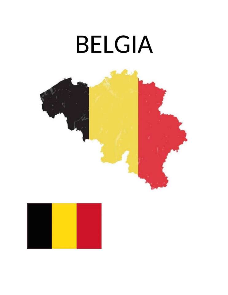 Bendera Belgia puzzle online from photo