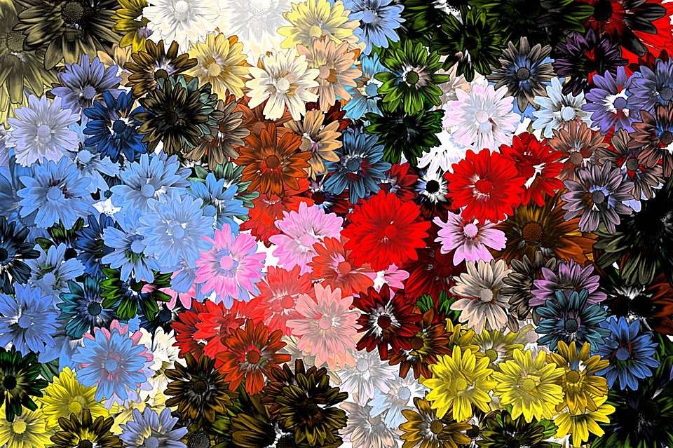 Λουλούδια και χρώματα online παζλ