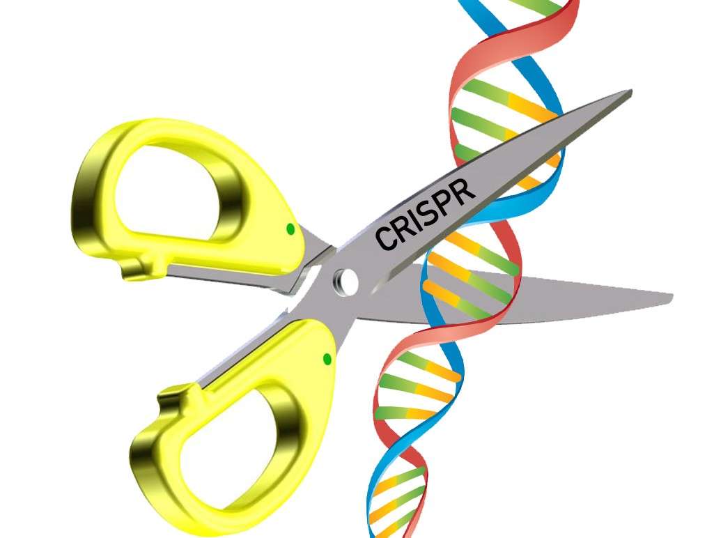 Biotechnology Tool online puzzle
