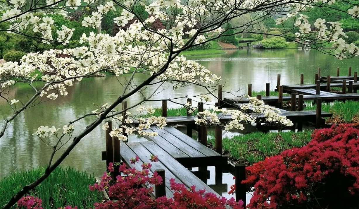 Passeggia nel giardino dello Zen puzzle online da foto