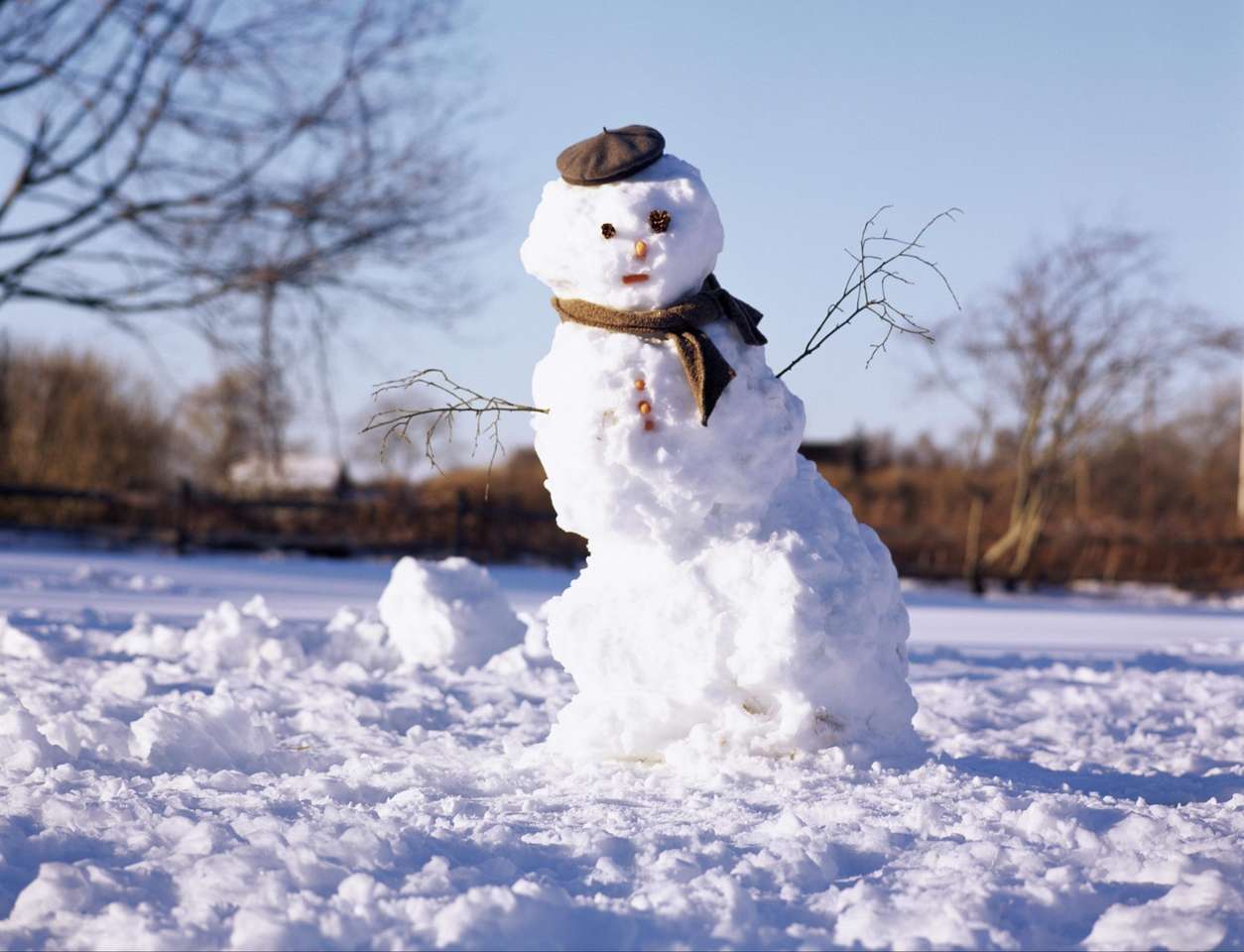 снежен човек! онлайн пъзел от снимка