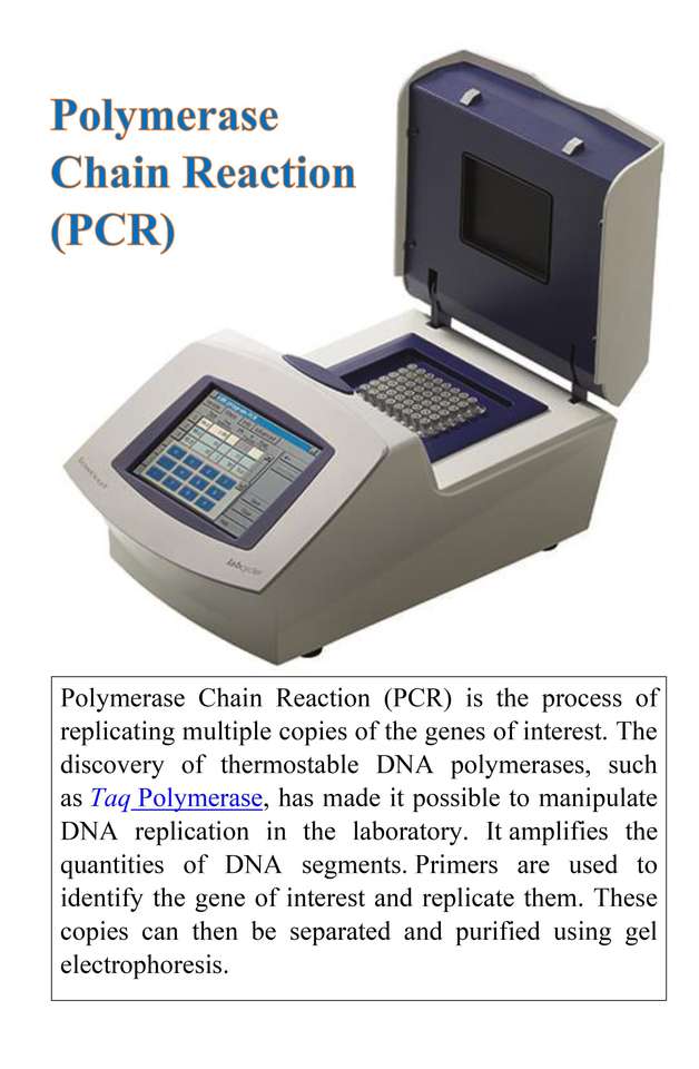 Réaction en chaîne par polymérase (PCR) puzzle en ligne à partir d'une photo