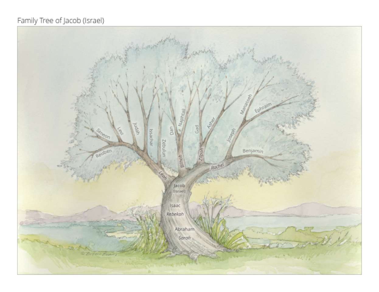 Arbore genealogic puzzle online din fotografie