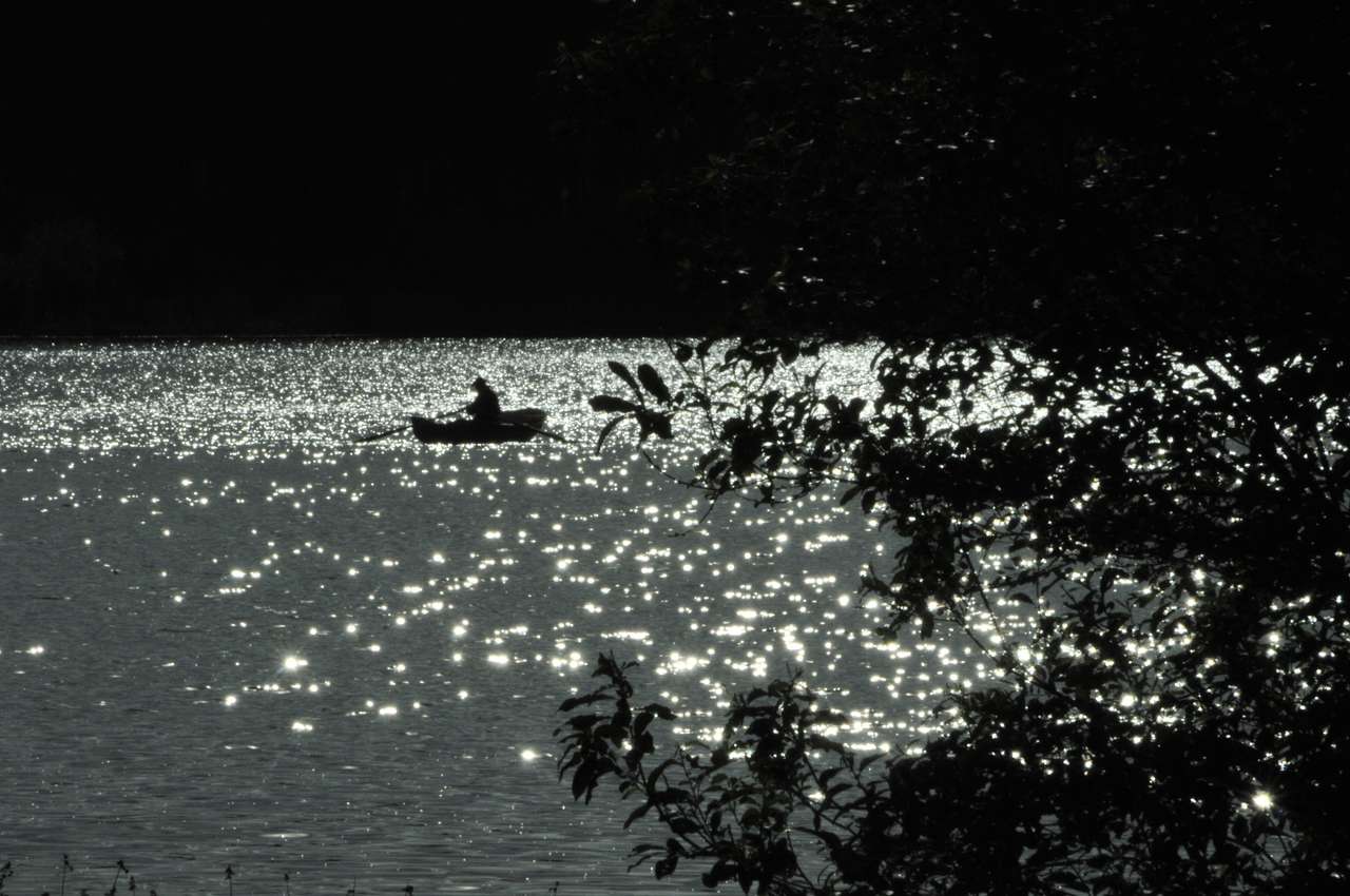 Cachoubie la nuit puzzle en ligne à partir d'une photo