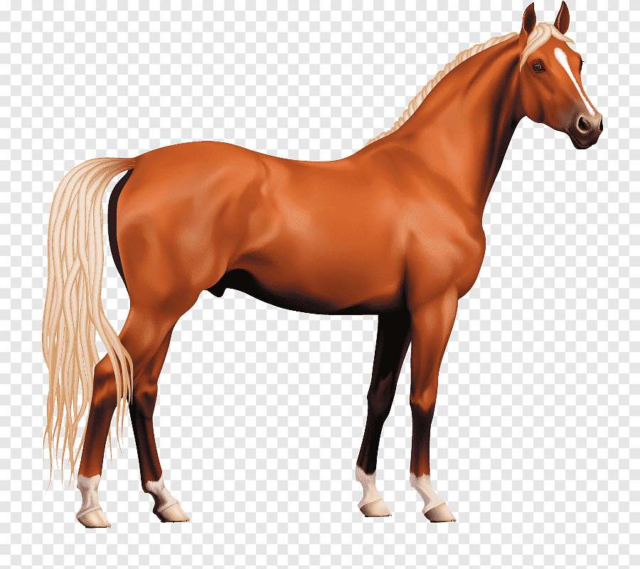HORSE online puzzle
