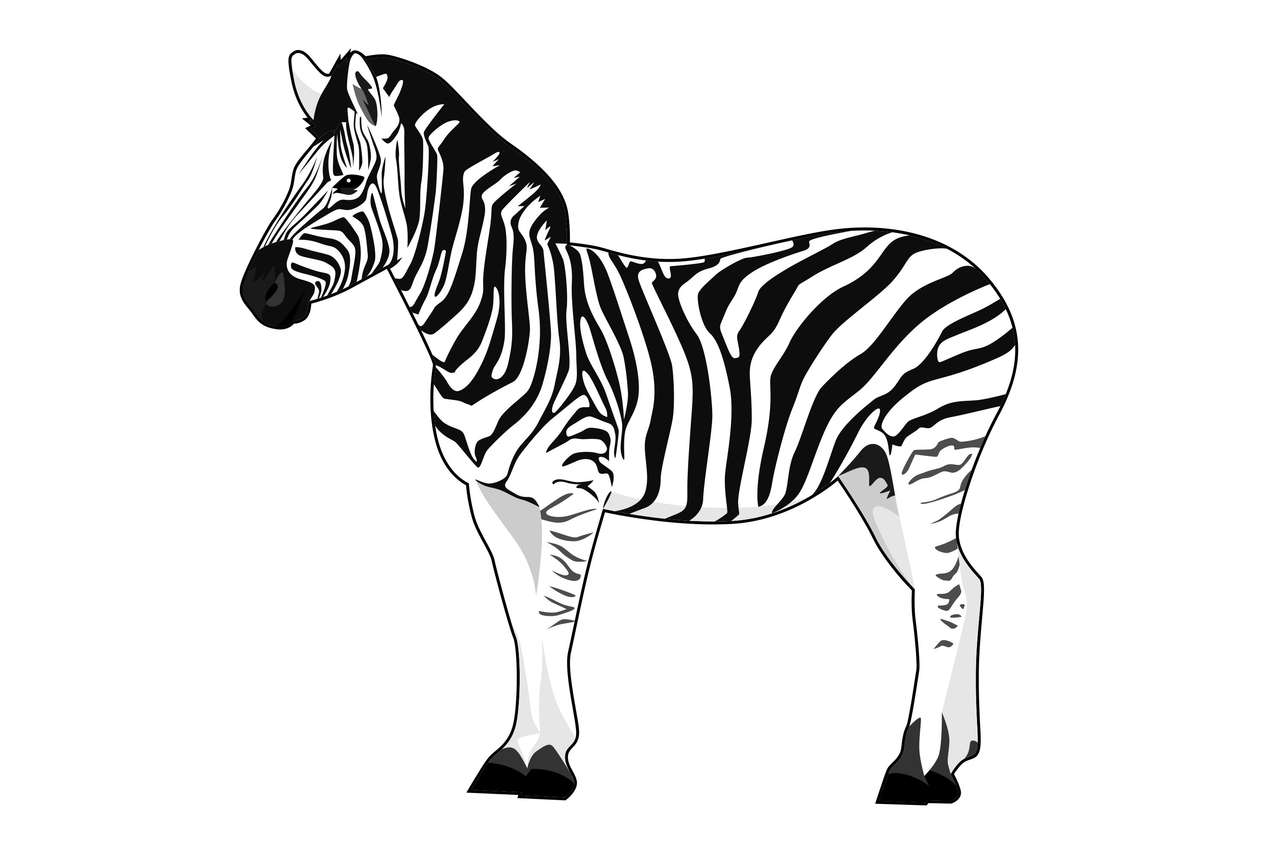 Pozornost zebra Captarea online puzzle