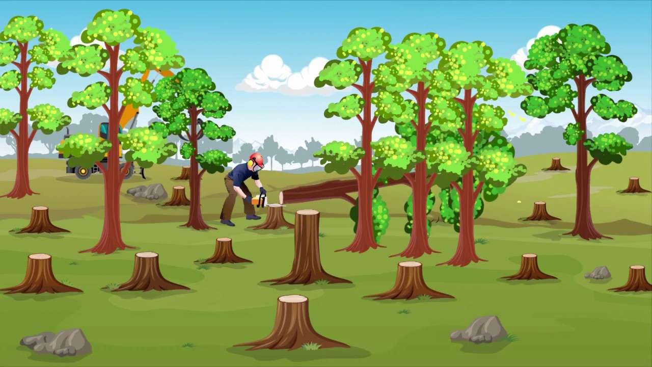 odlesňování online puzzle