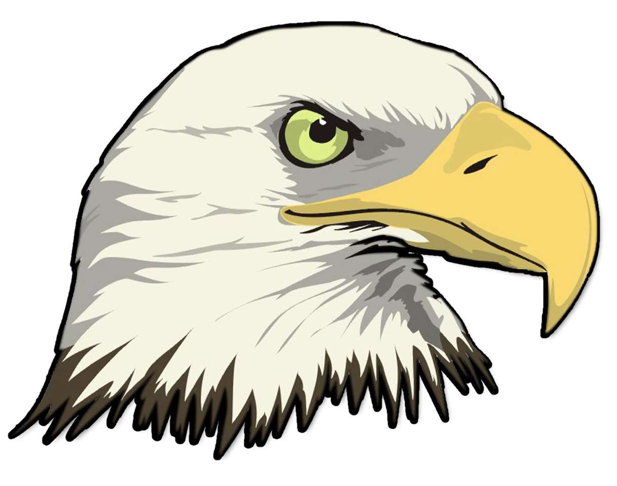 Білоголовий орлан онлайн пазл