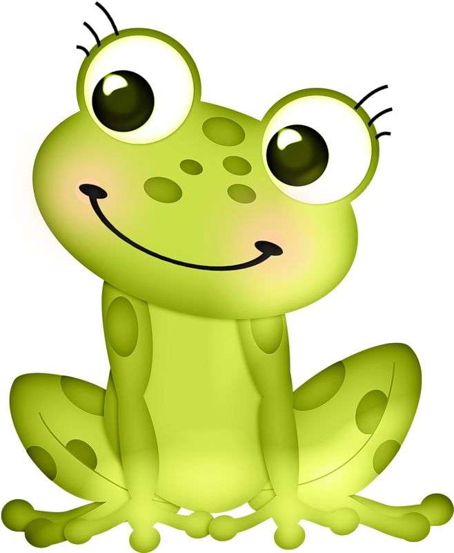 Frog oac puzzle online from photo