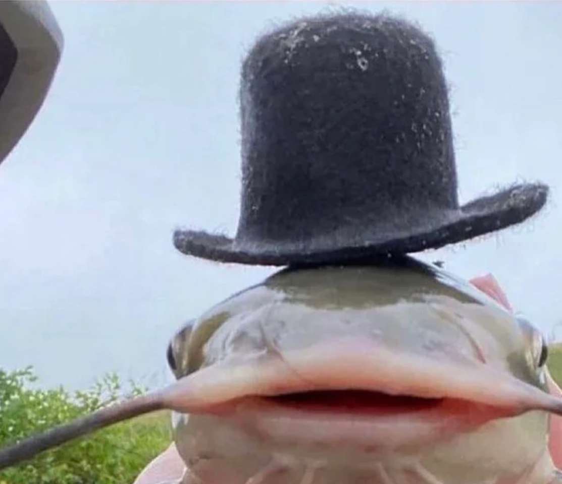 Fisk i hatt pussel online från foto