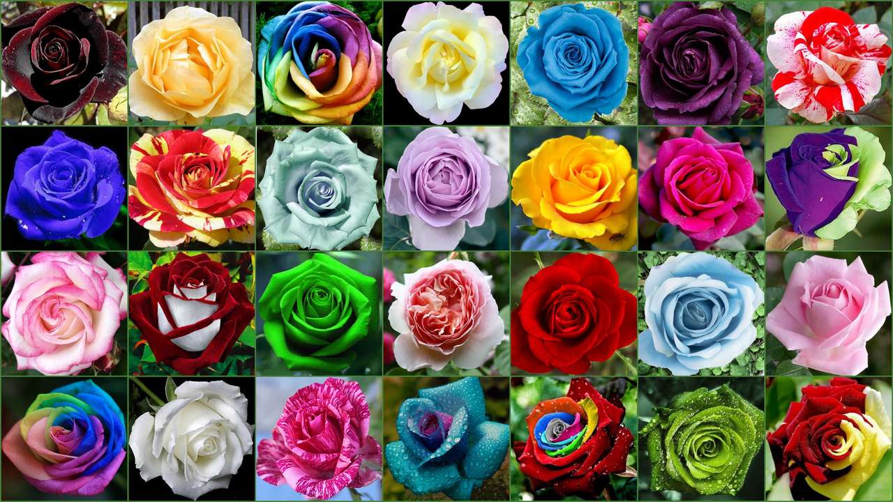 Rozen - bloemen puzzel online van foto