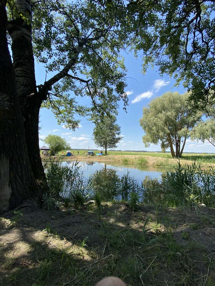 Kur yra ši vieta? скласти пазл онлайн з фото