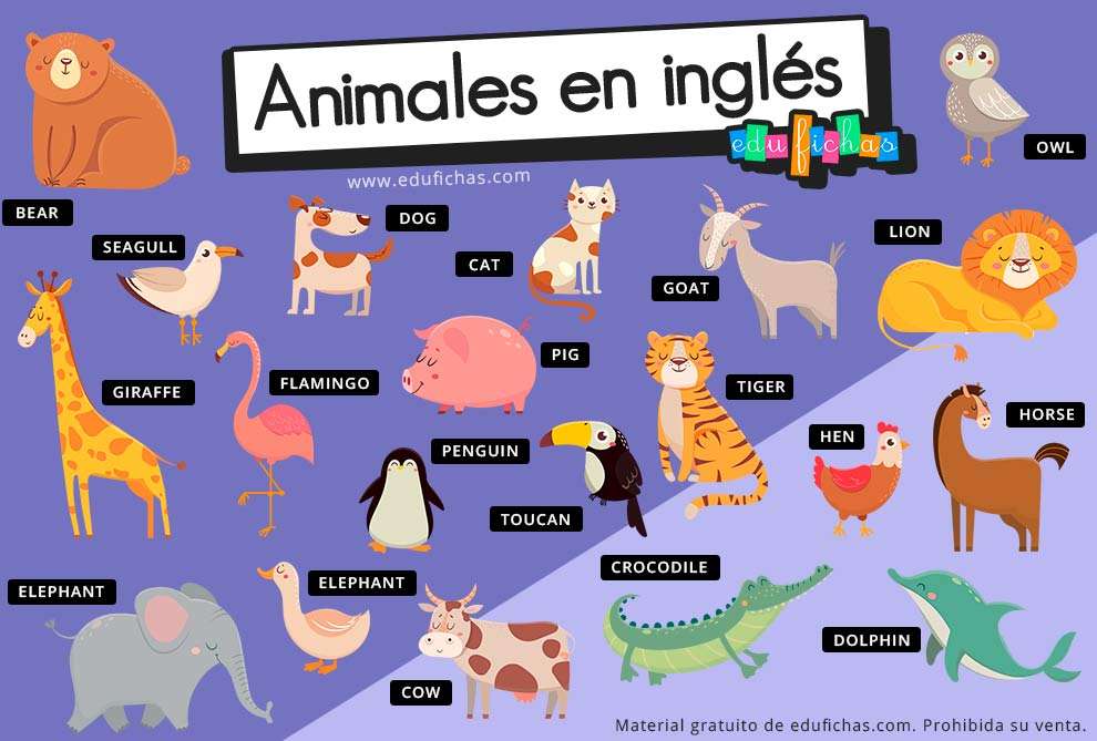 REVUE DES ANIMAUX EN ANGLAIS puzzle en ligne