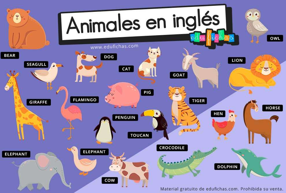 Quebra-Cabeça Animais em Inglês