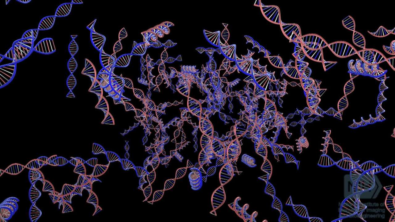 DNA GENETICA online puzzel